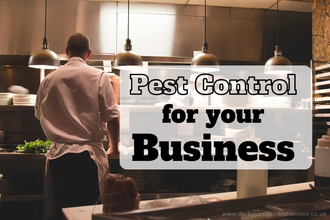 The Benefits of Pest Control for your Business