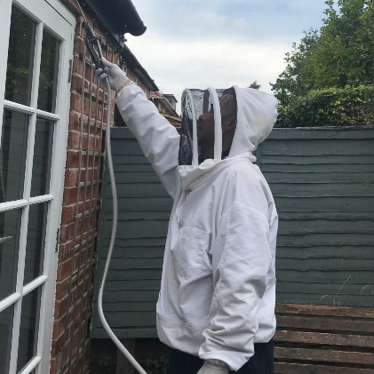 Wasp Nest Removal Derby